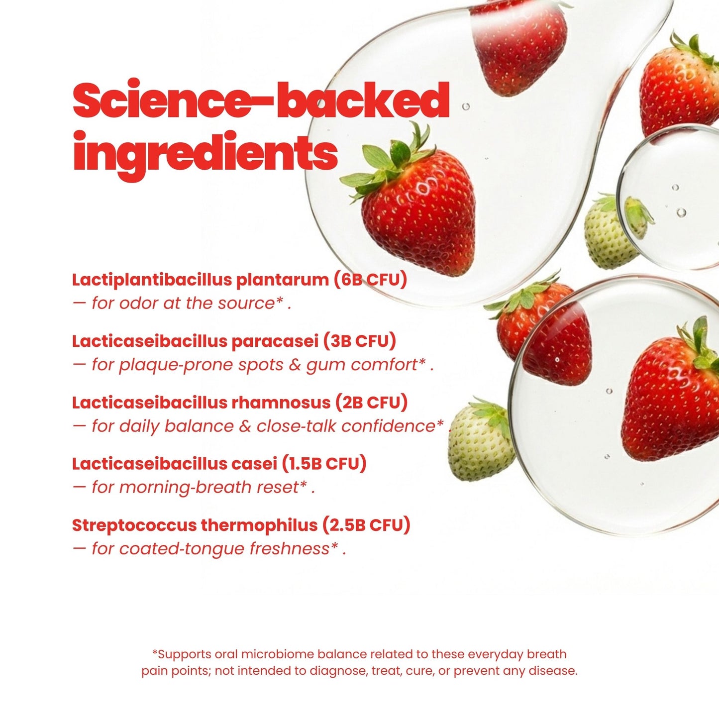 Beezoo Strawberry Probiotic Fizz Tabs Kiss-Ready Fresh Breath 15B CFU Tab 21 Tabs Oral Probiotic Supplement